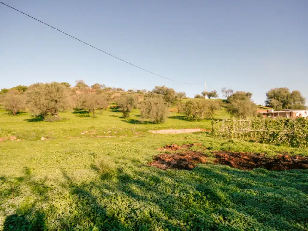 Country homes for sale in Coín