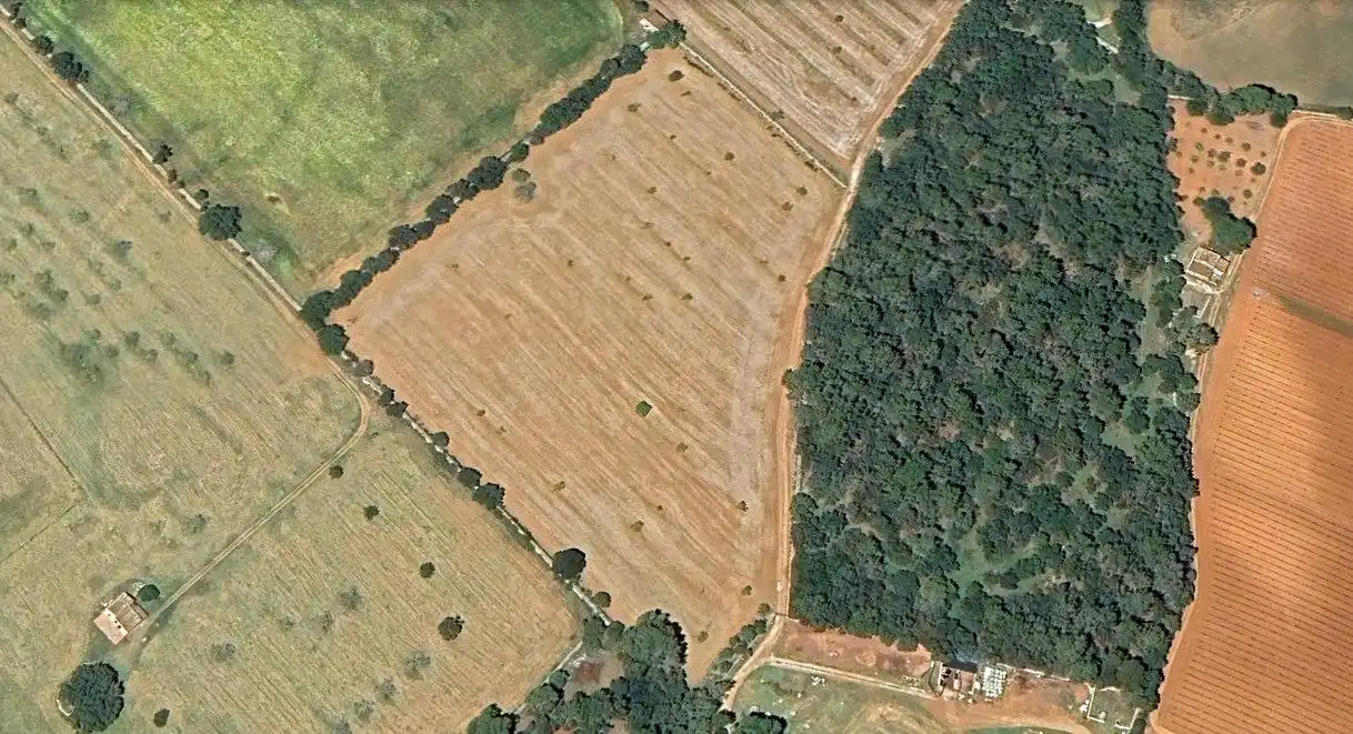 Terreny rústic en venda a Sencelles, imagen 18