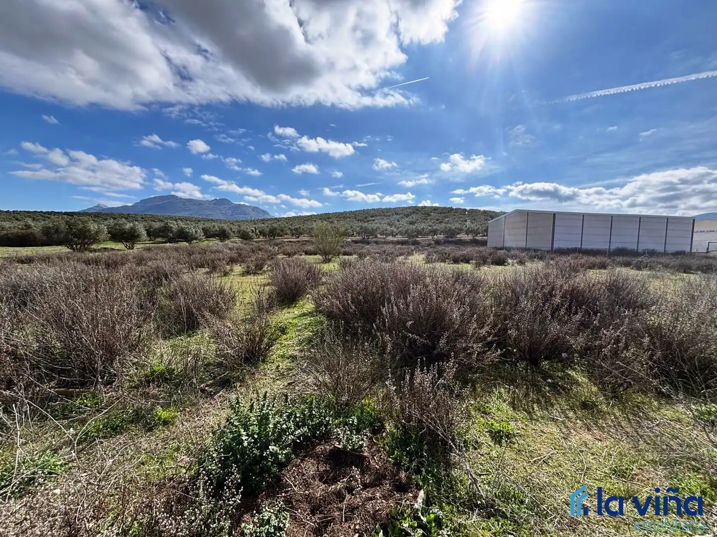 Industriegrundstück zum Verkauf in Villanueva del Trabuco, imagen 3