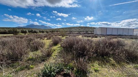 Foto 3 de Terreno industrial en venta en Villanueva del Trabuco, Málaga