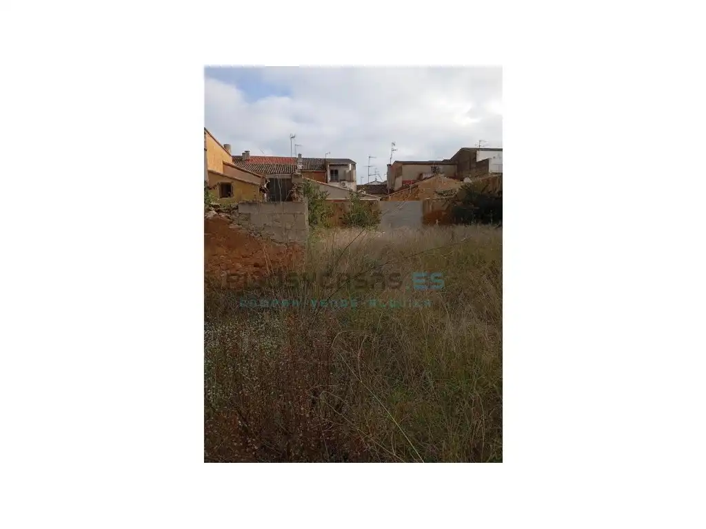 Casa o chalet en venta en Anna con Jardín privado