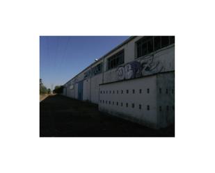 Exterior view of Industrial buildings for sale in Cáceres Capital