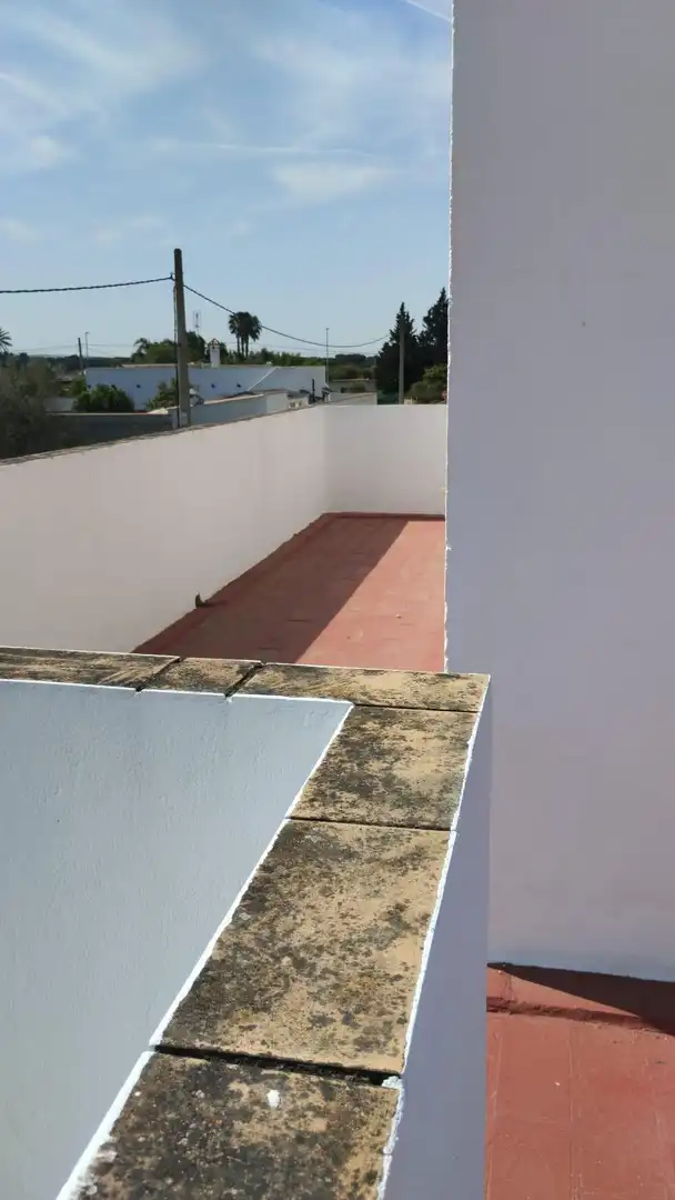 Chalet con jardín en venta en Pelagatos - Pago del Humo, imagen 19