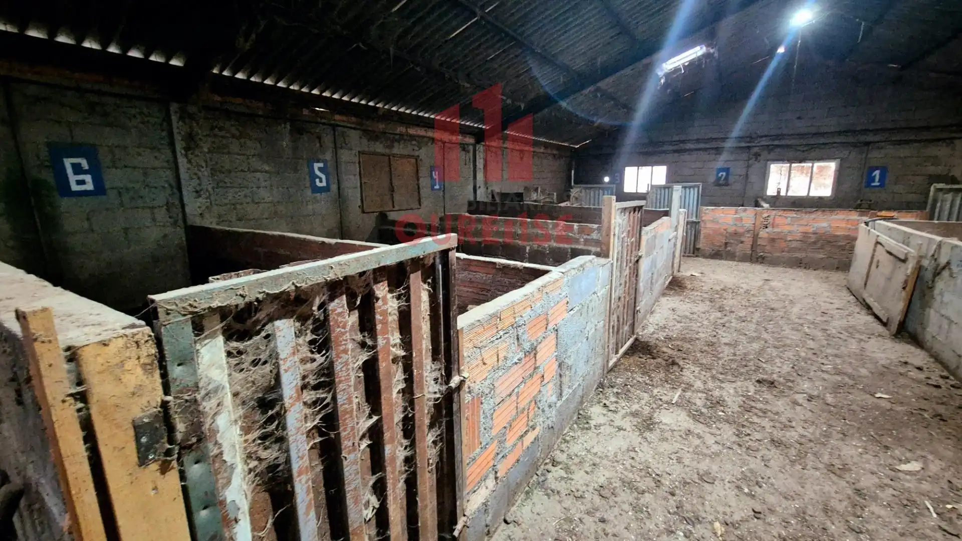 Industrial buildings for sale in Amoeiro