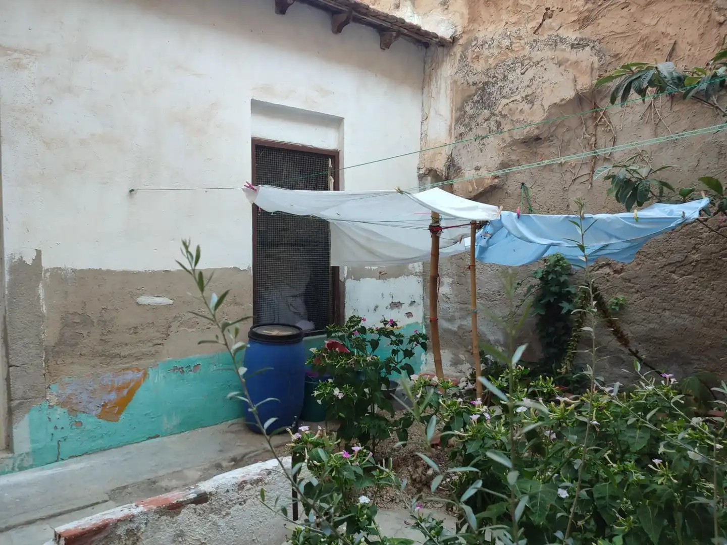 Exterior view of Residential for sale in Novelda