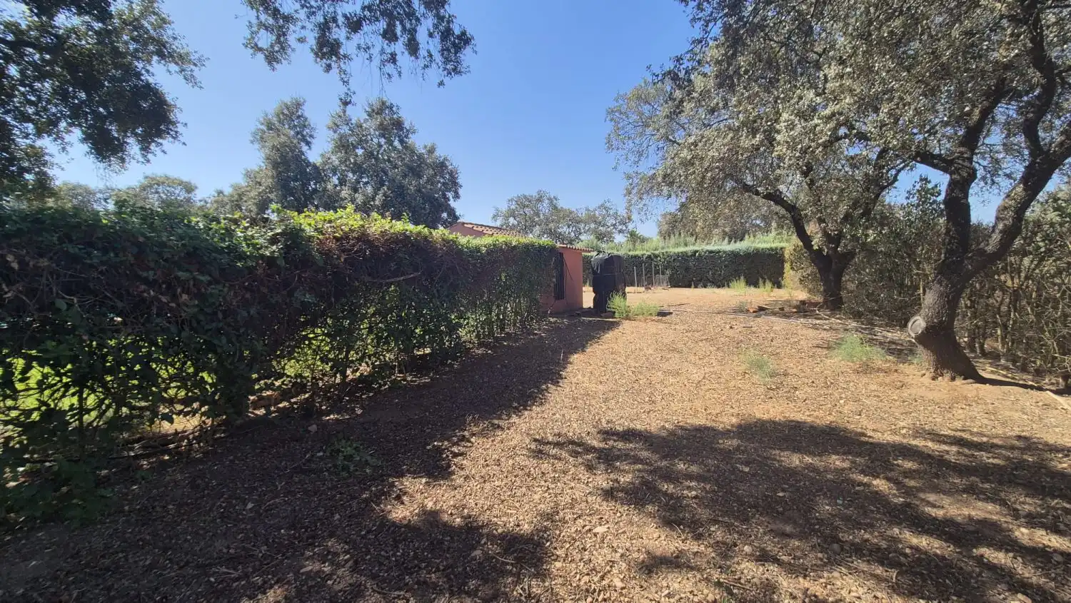 Detached house for sale in Carretera de Sevilla - Los Montitos, imagen 17