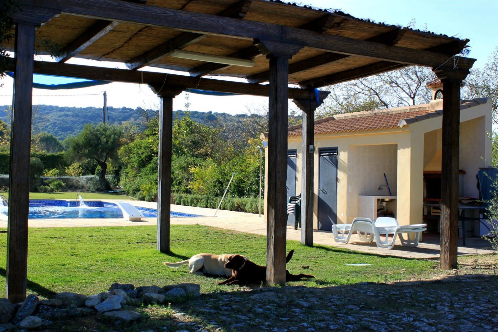Garden of House or chalet for sale in Málaga Capital  with Storage room and Alarm