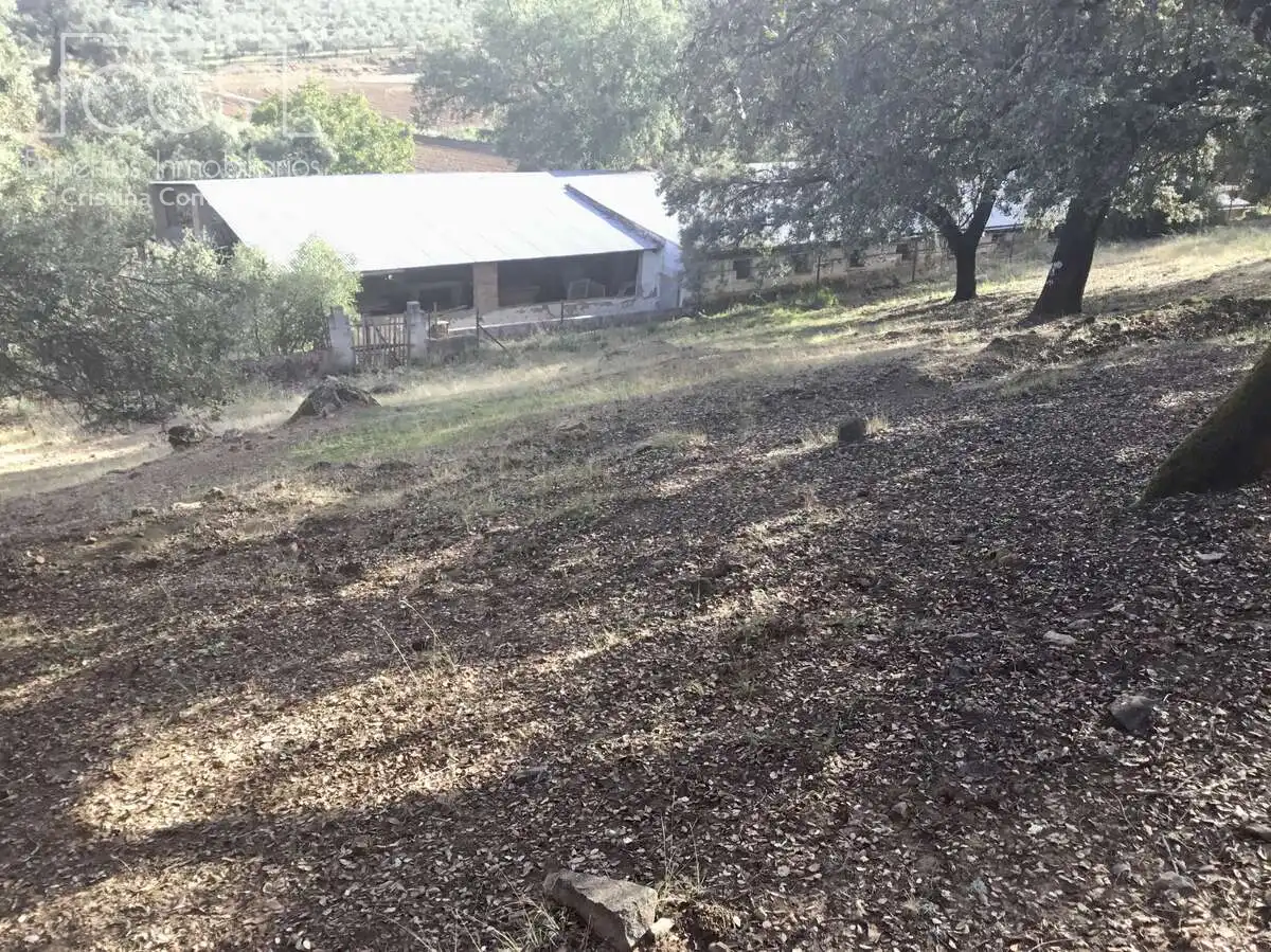 Terreni e lotti in vendita a Cazalla de la Sierra, imagen 3