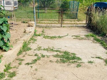 Terreno rústico en venta en Puig Ses Forques - Torre Colomina