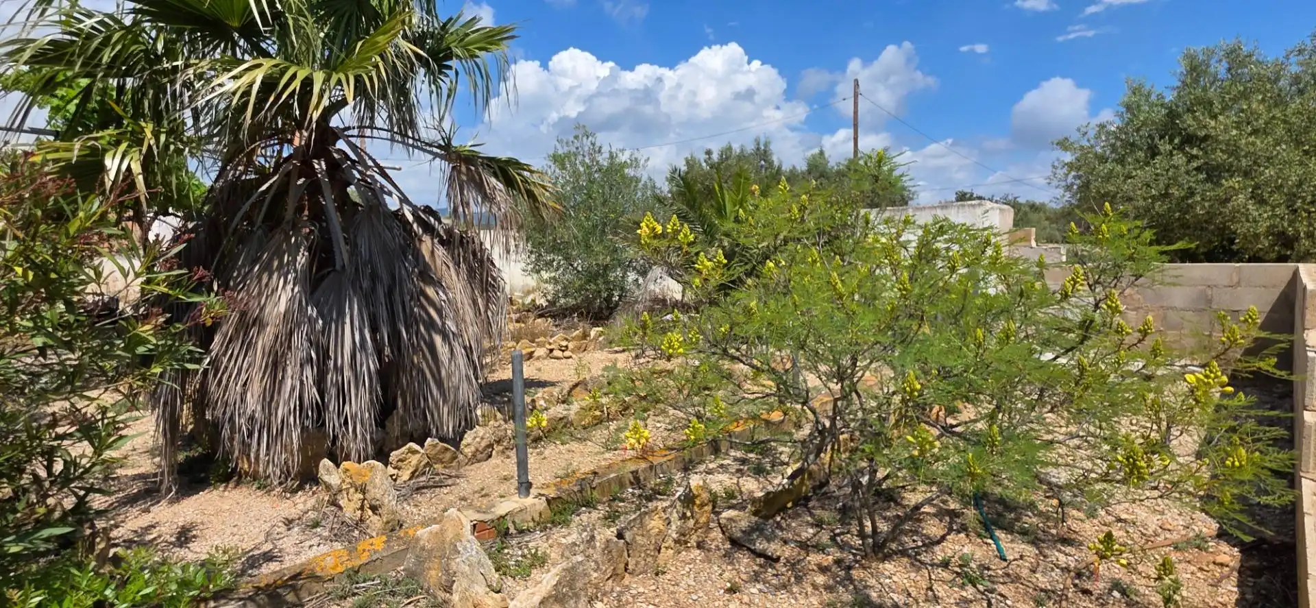 Maison rustique à vendre à L'Ampolla, imagen 25