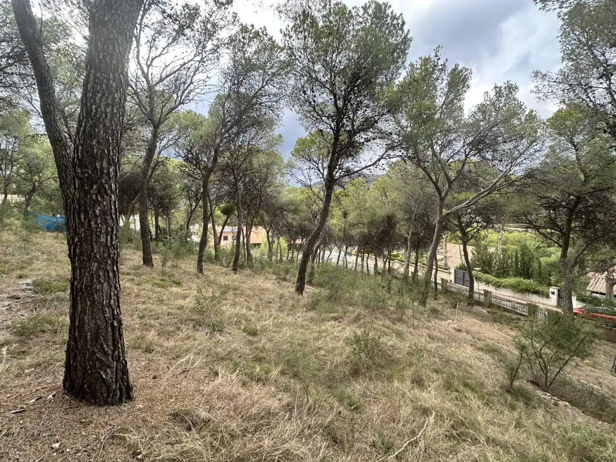 Wohnbaugrundstück zum Verkauf in Torres Torres, imagen 42