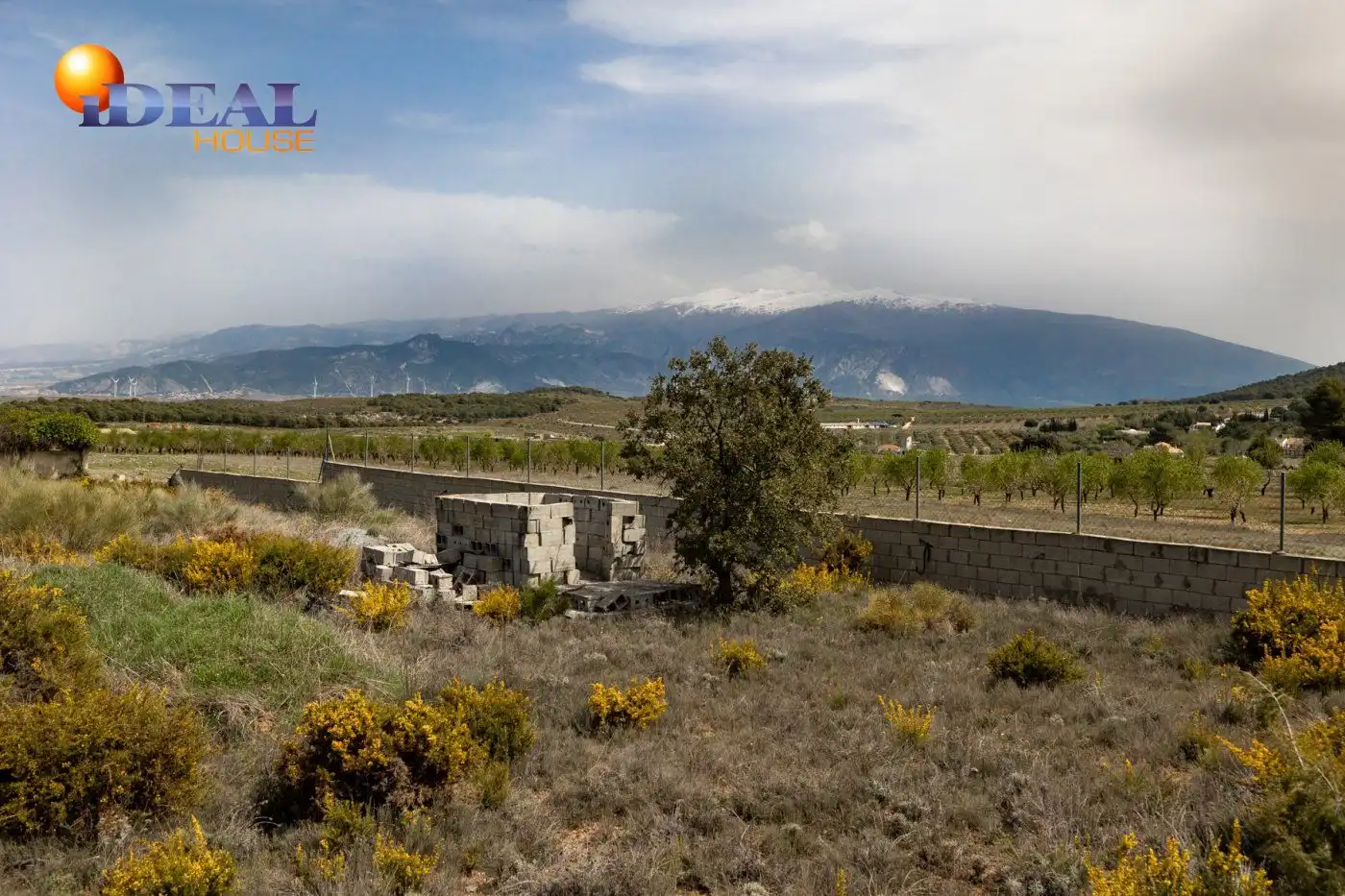 Residencial en venta en Calle ALAMO, 41, Padul