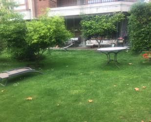 Jardí de Apartament en venda en Urduña / Orduña