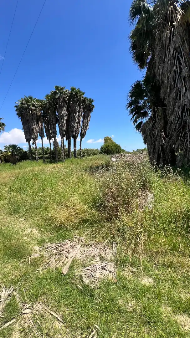 Terreno rustico in vendita a Centre, imagen 2