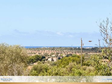 Terreny residencial en venda a Ses Salines Poble