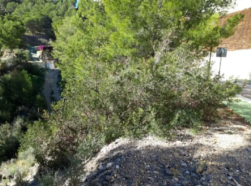 Terreny residencial en venda a SUIZA, PARCELA AH, 624, imagen 14