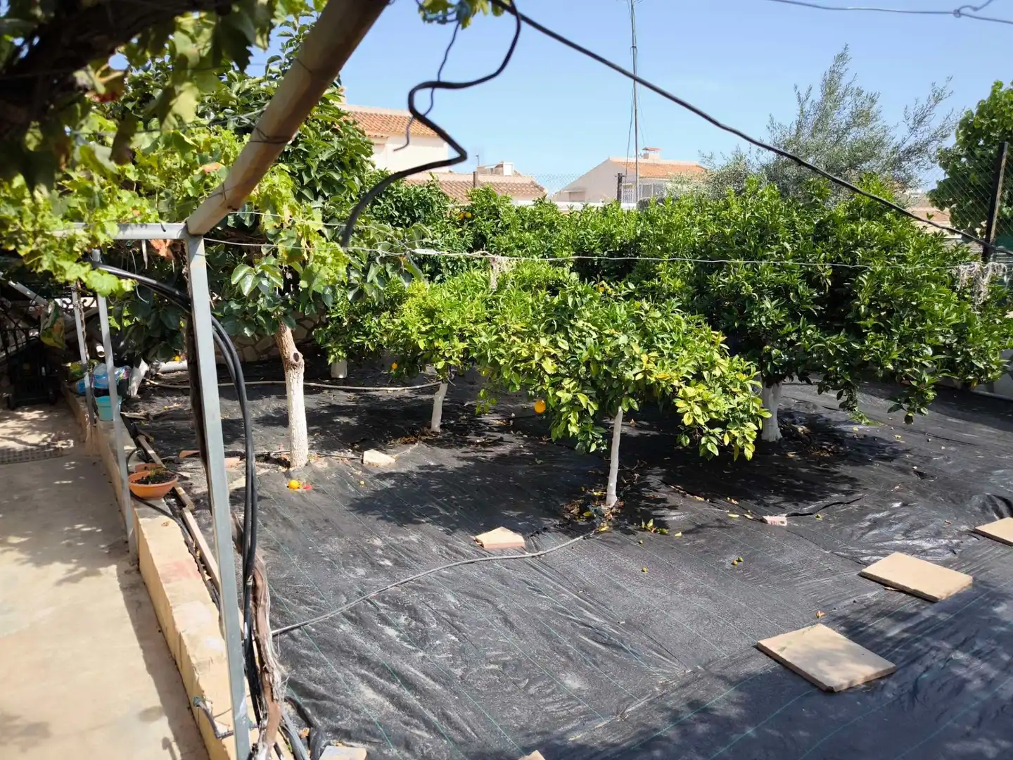 Casa amb piscina en venda a Coloma, imagen 12