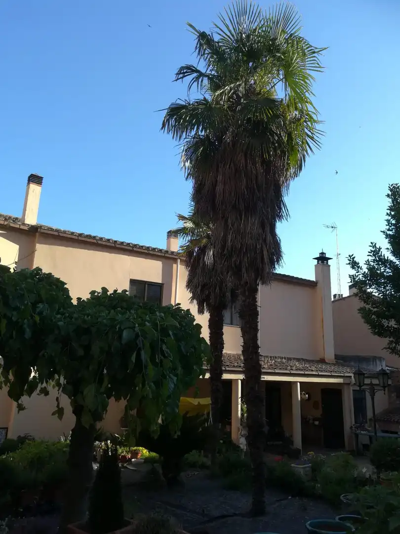 Außenansicht von Gebäude zum Verkauf in Zamora Capital 