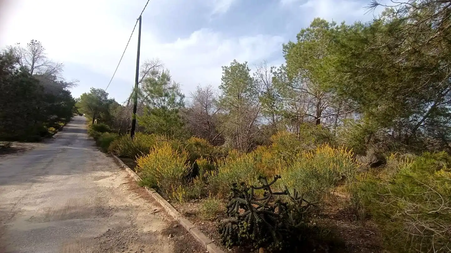 Terreni e lotti in vendita a Poniente, imagen 6