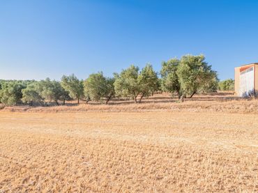 Rural land for sale in Camino DISEMINADOS