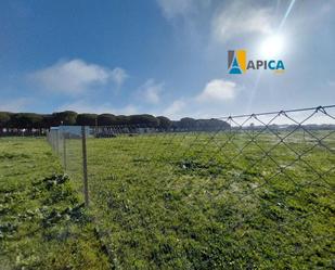 Land for sale in Conil de la Frontera