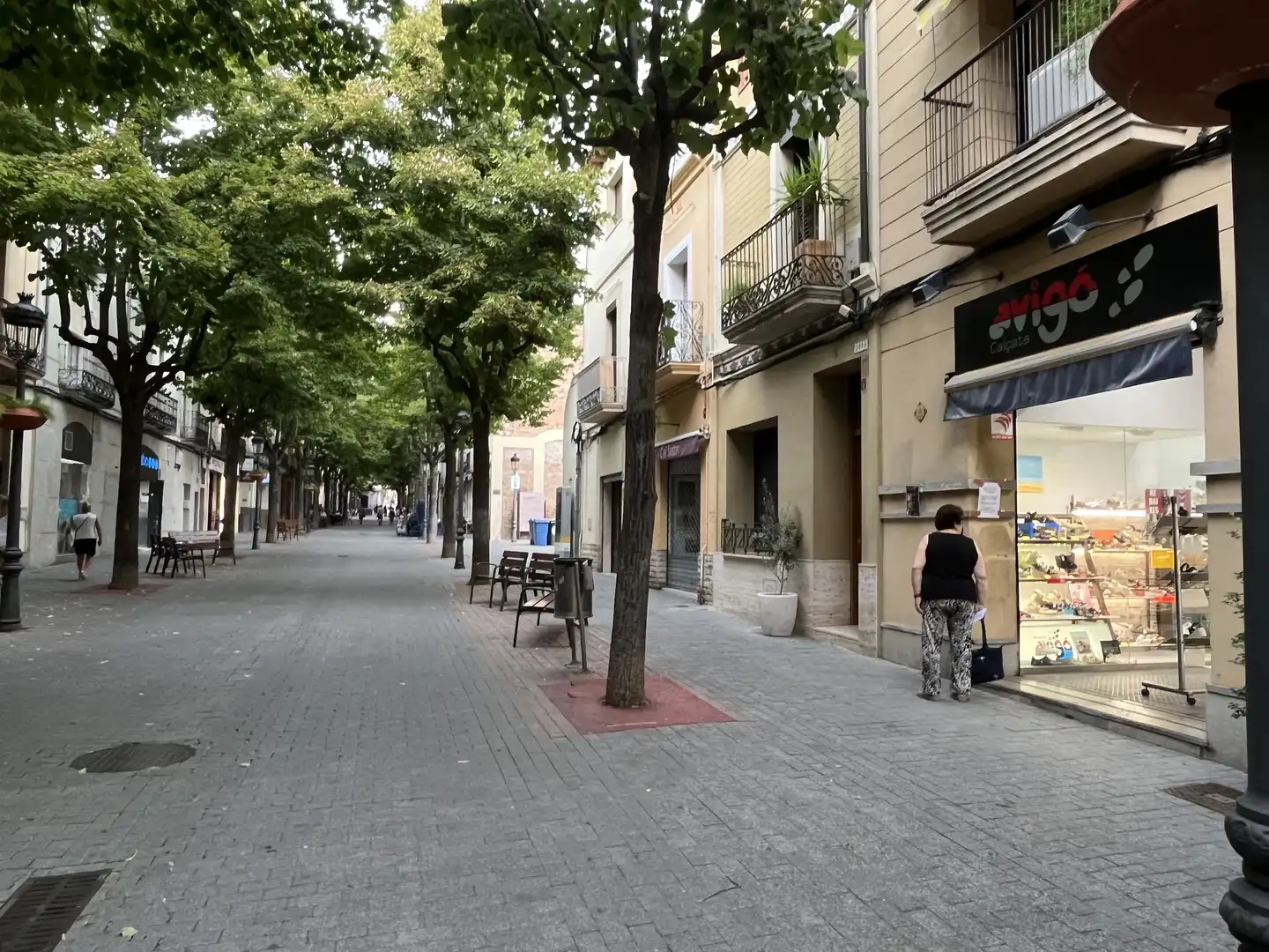 Business premises to rent in dels Arbres 4, imagen 18