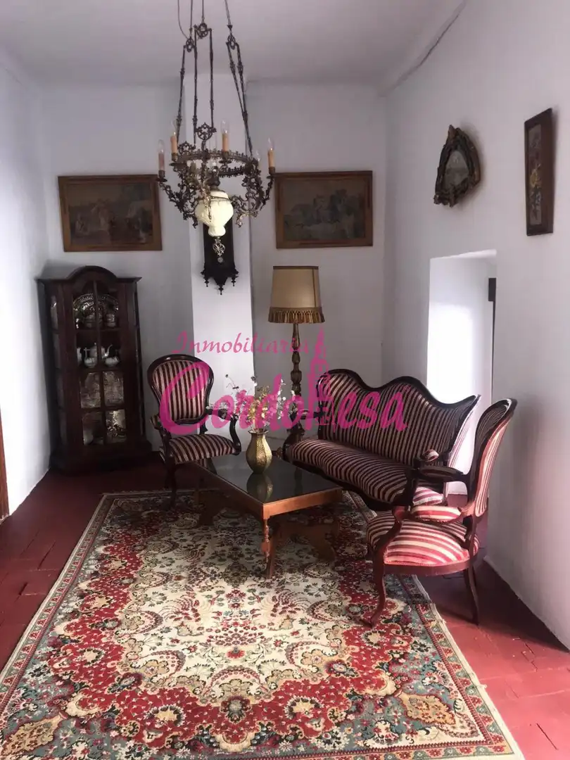 Sala de estar de Casa o chalet en venta en Villaviciosa de Córdoba con Terraza