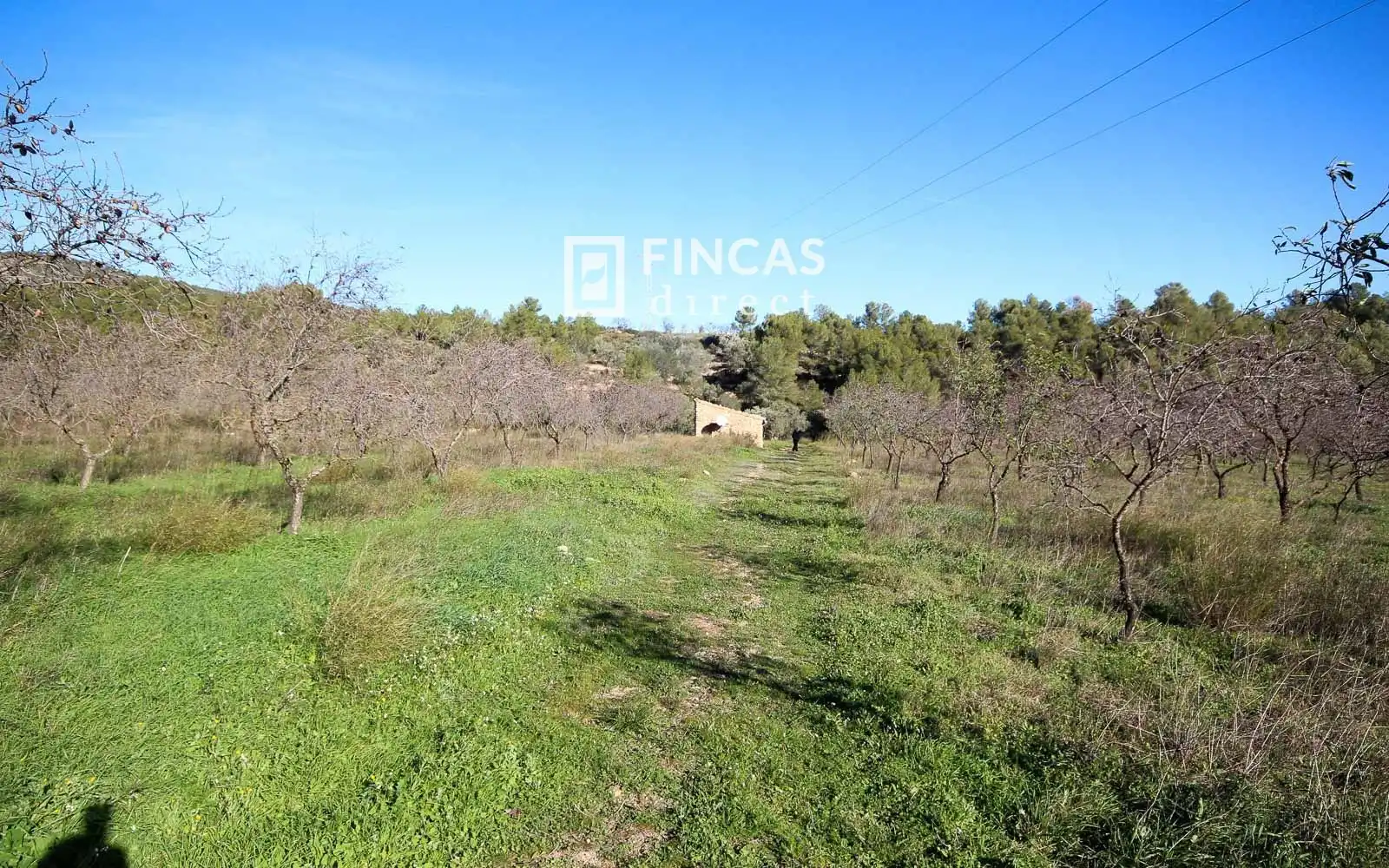 Finca rústica en venta en Miravet