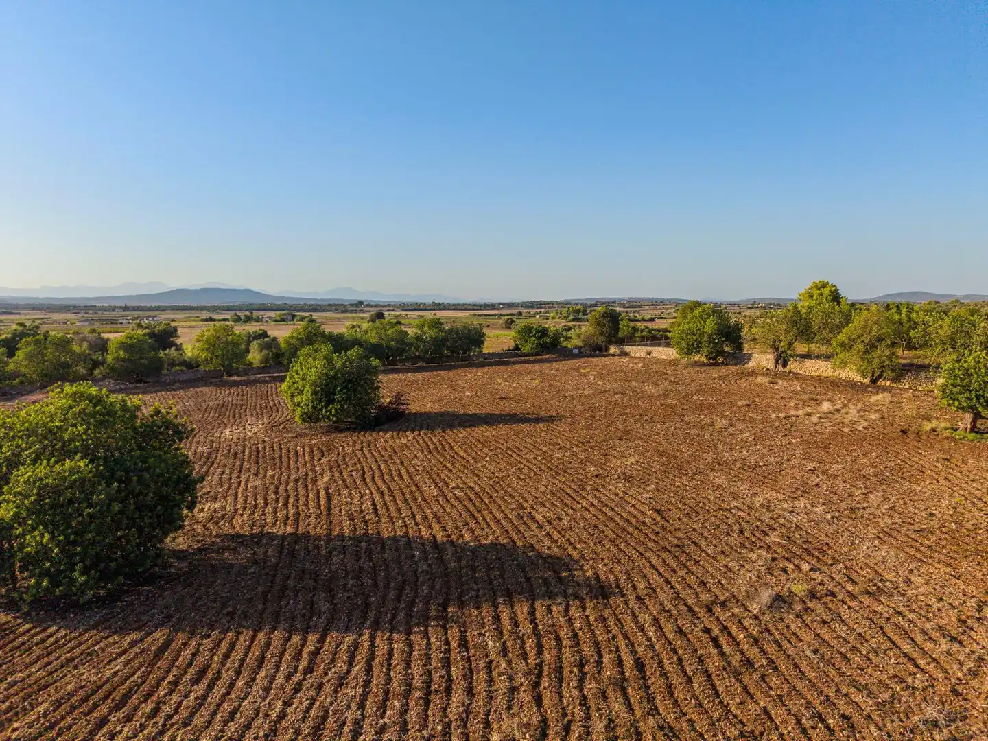 Grundstücke und Bauplätze zum Verkauf in Polígono POLIGONO 24, parcela 1006, imagen 8
