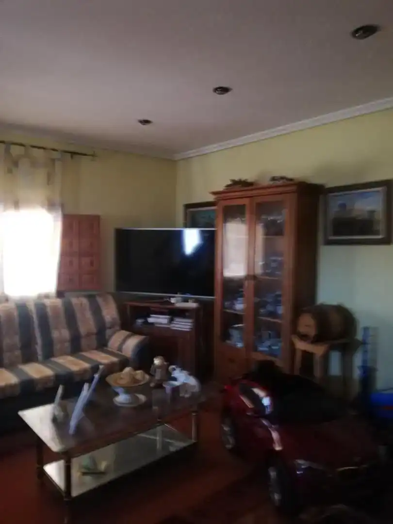 Sala d'estar de Casa o xalet en venda en Elche / Elx amb Aire condicionat i Piscina
