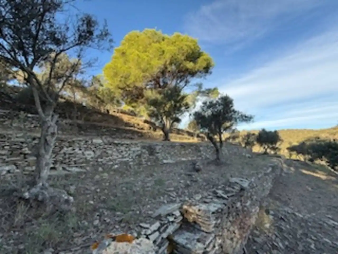 Rural land for sale in Cadaqués, imagen 7