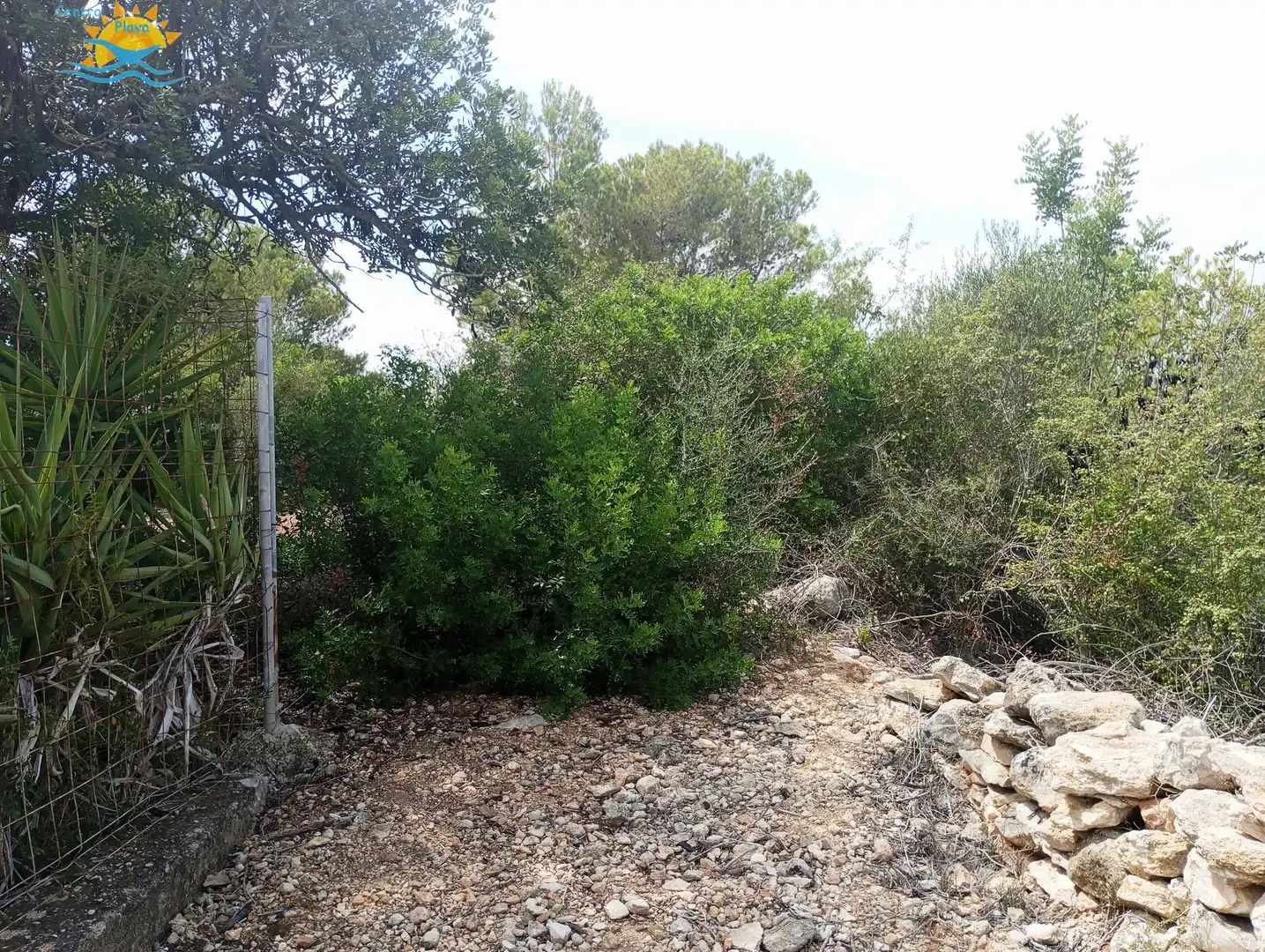 Maison rustique à vendre à CALIG CASTELLON 12589, imagen 19