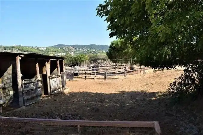 Terrenos y solares en venta en Mas Mora - Sant Daniel, imagen 57