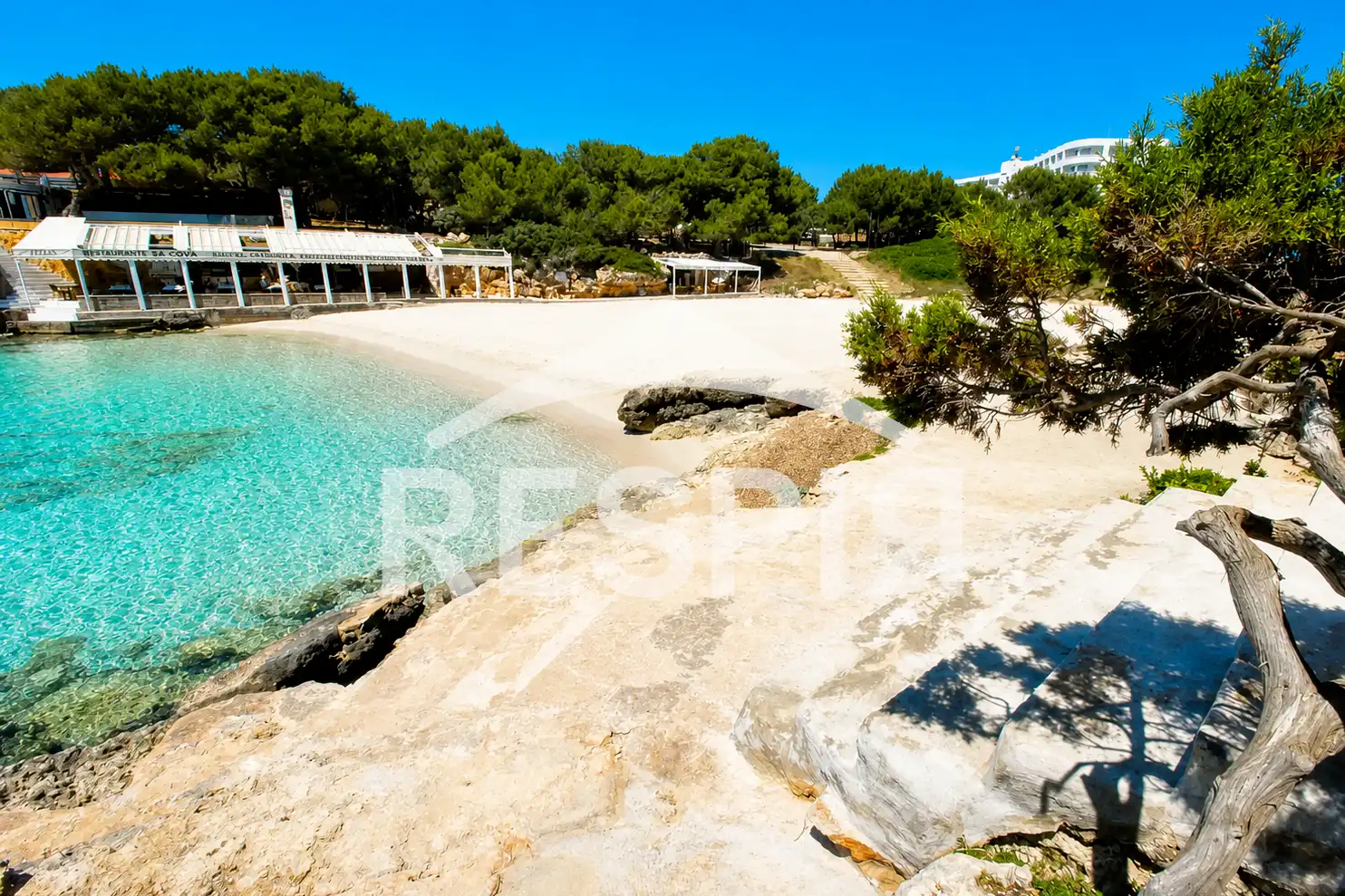 Mini appartamento in affitto a Cala Blanca, imagen 15