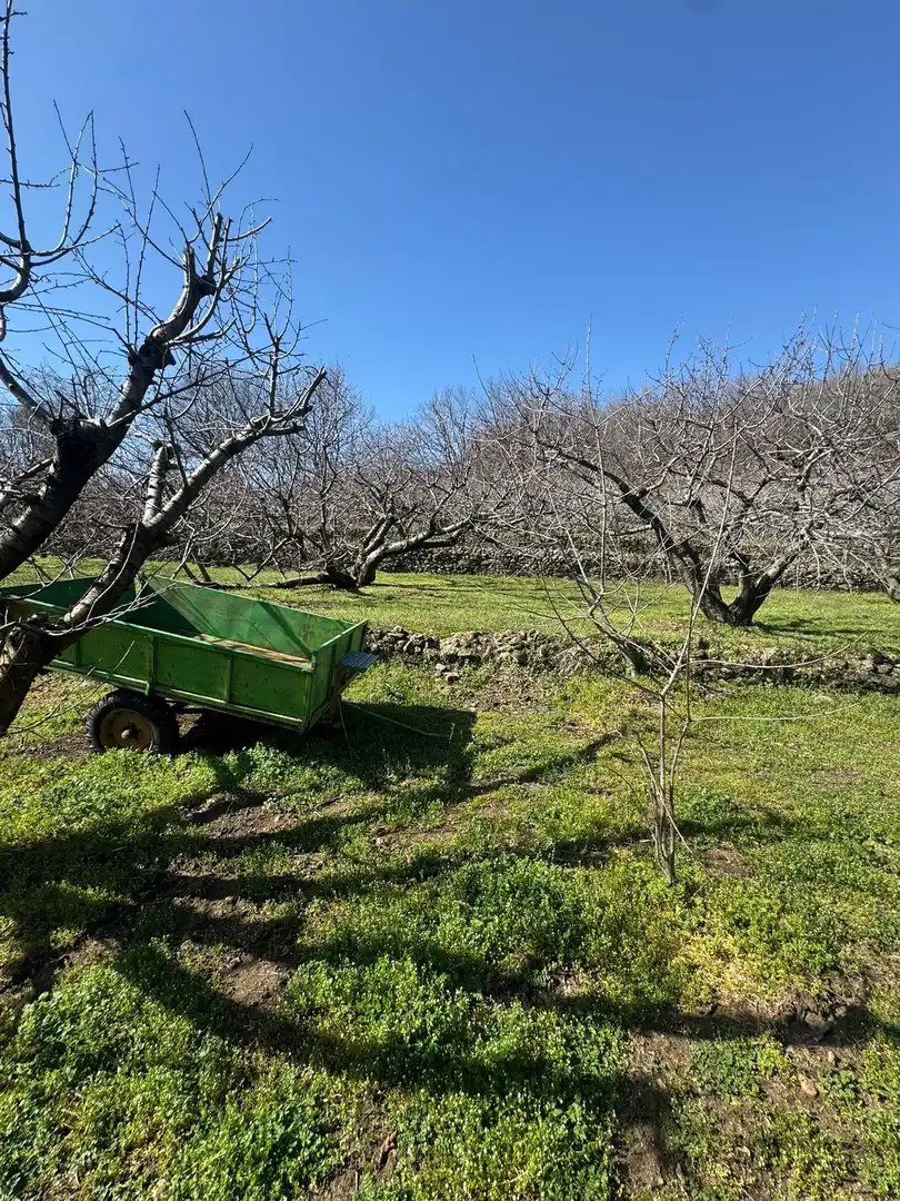Finca rústica en venda en Garganta la Olla