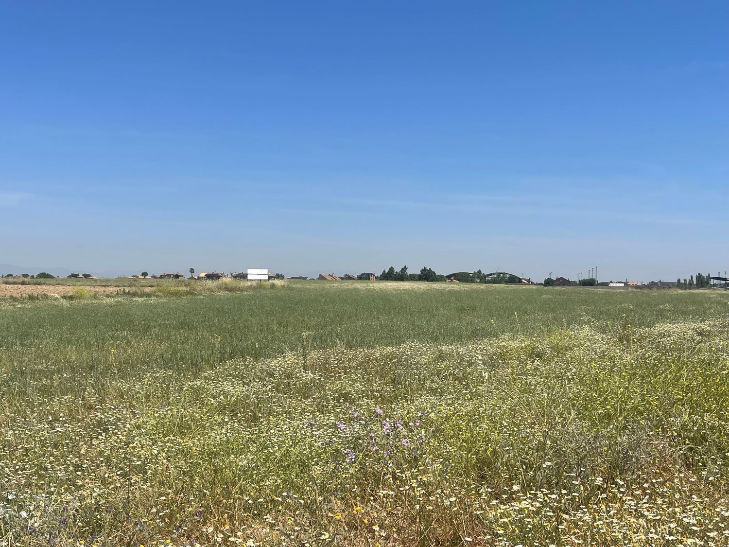 Land for sale in Cubas de la Sagra