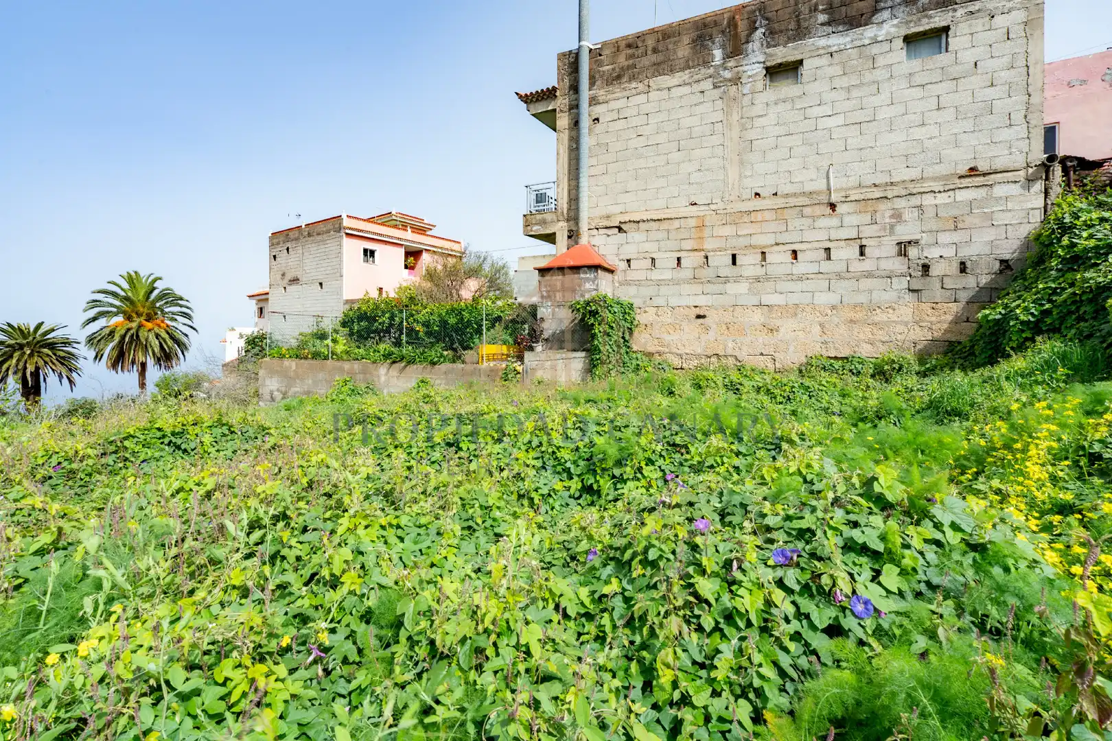Finca rústica en venda en La Victoria de Acentejo