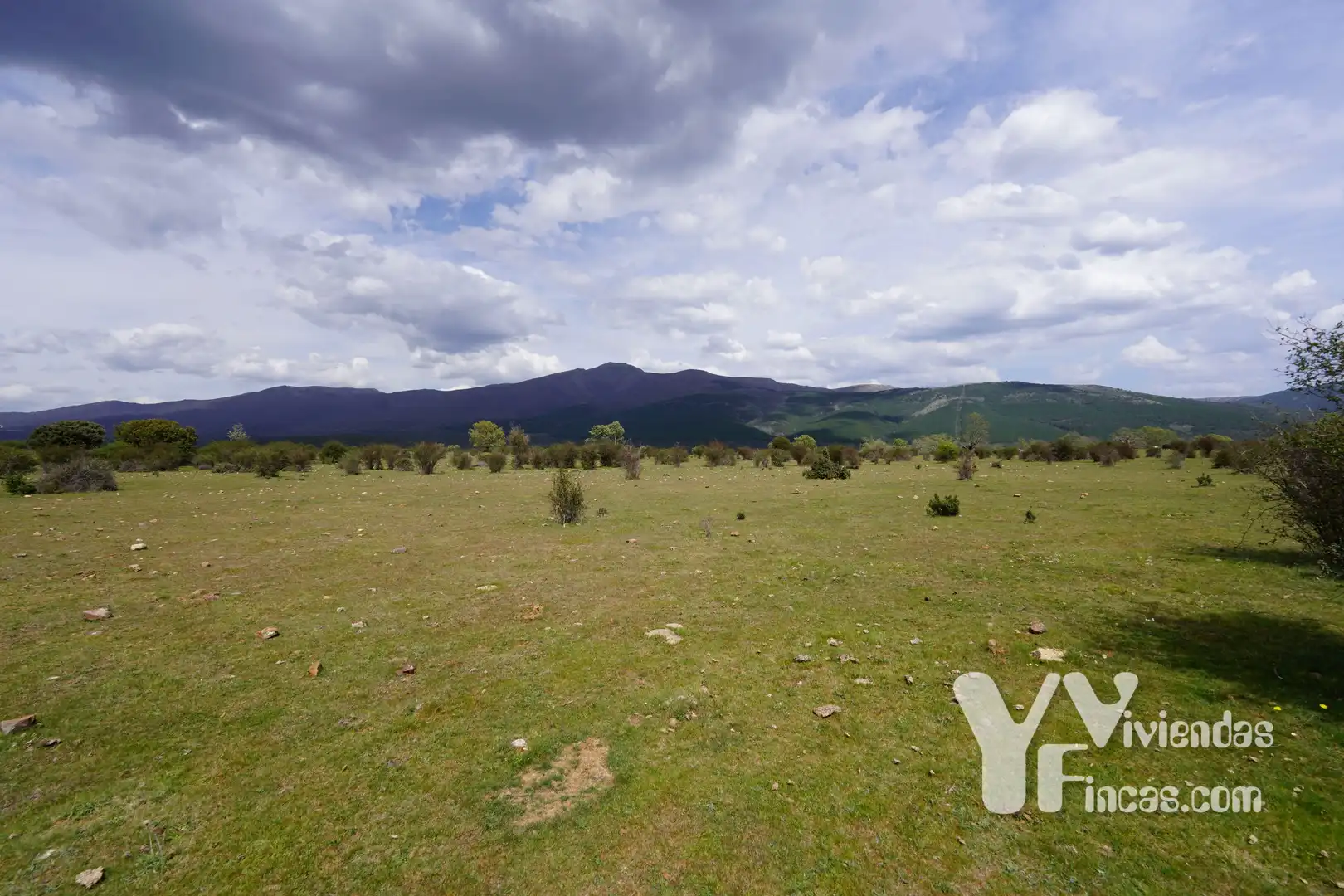 Terreno rústico en venta en Campillo de Ranas, imagen 3