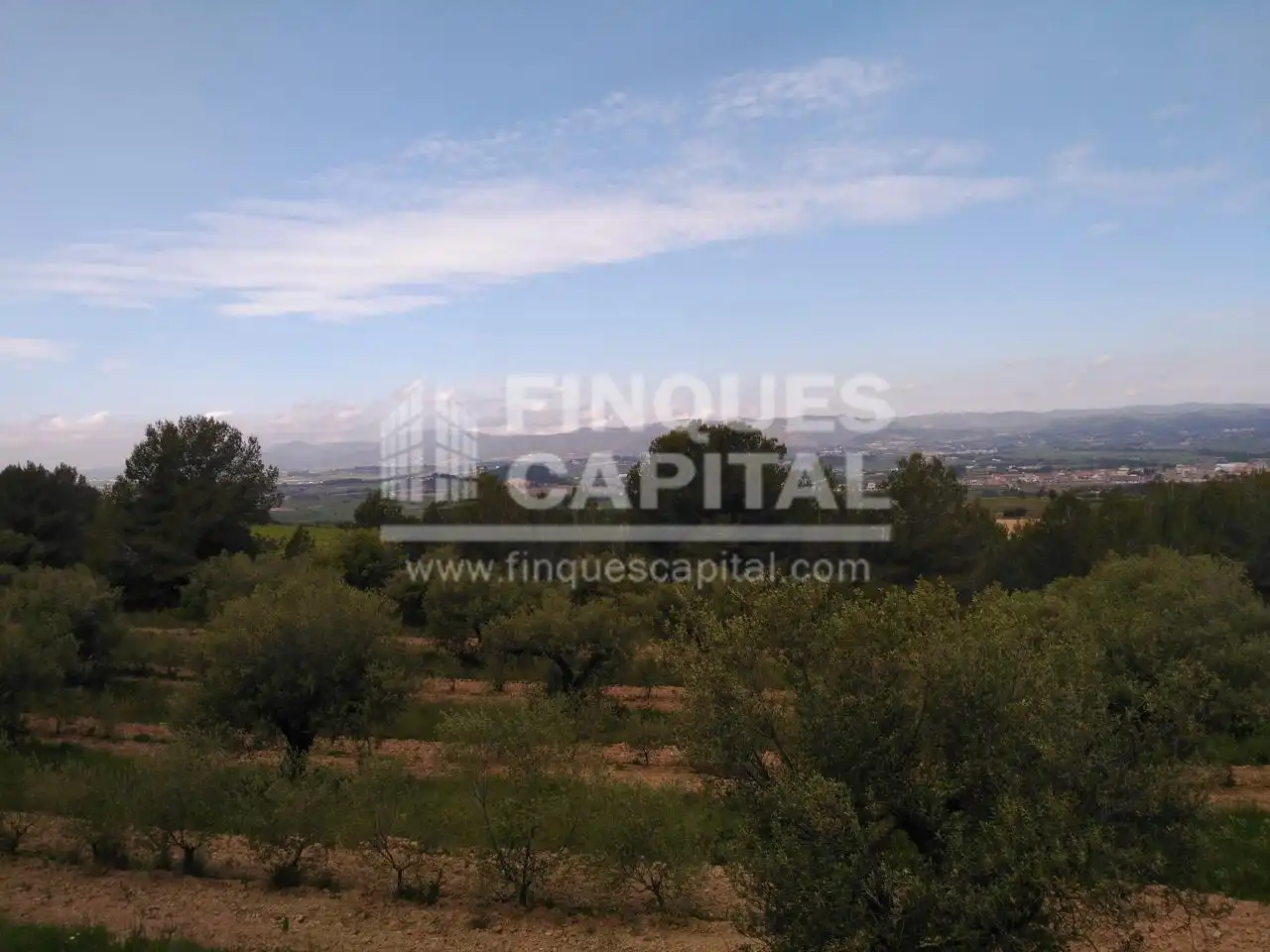 Terreny rústic en venda a Els Monjos, imagen 7