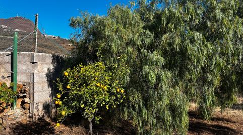 Foto 2 de Casa o chalet en venta en Camino de Candelaria, La Esperanza - Llano del Moro, El Rosario