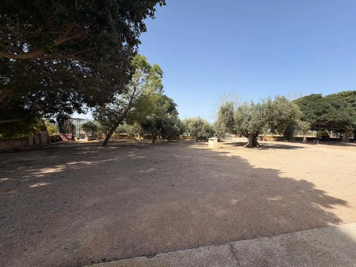 Business premises for sale in Torre-Pacheco ciudad, imagen 4
