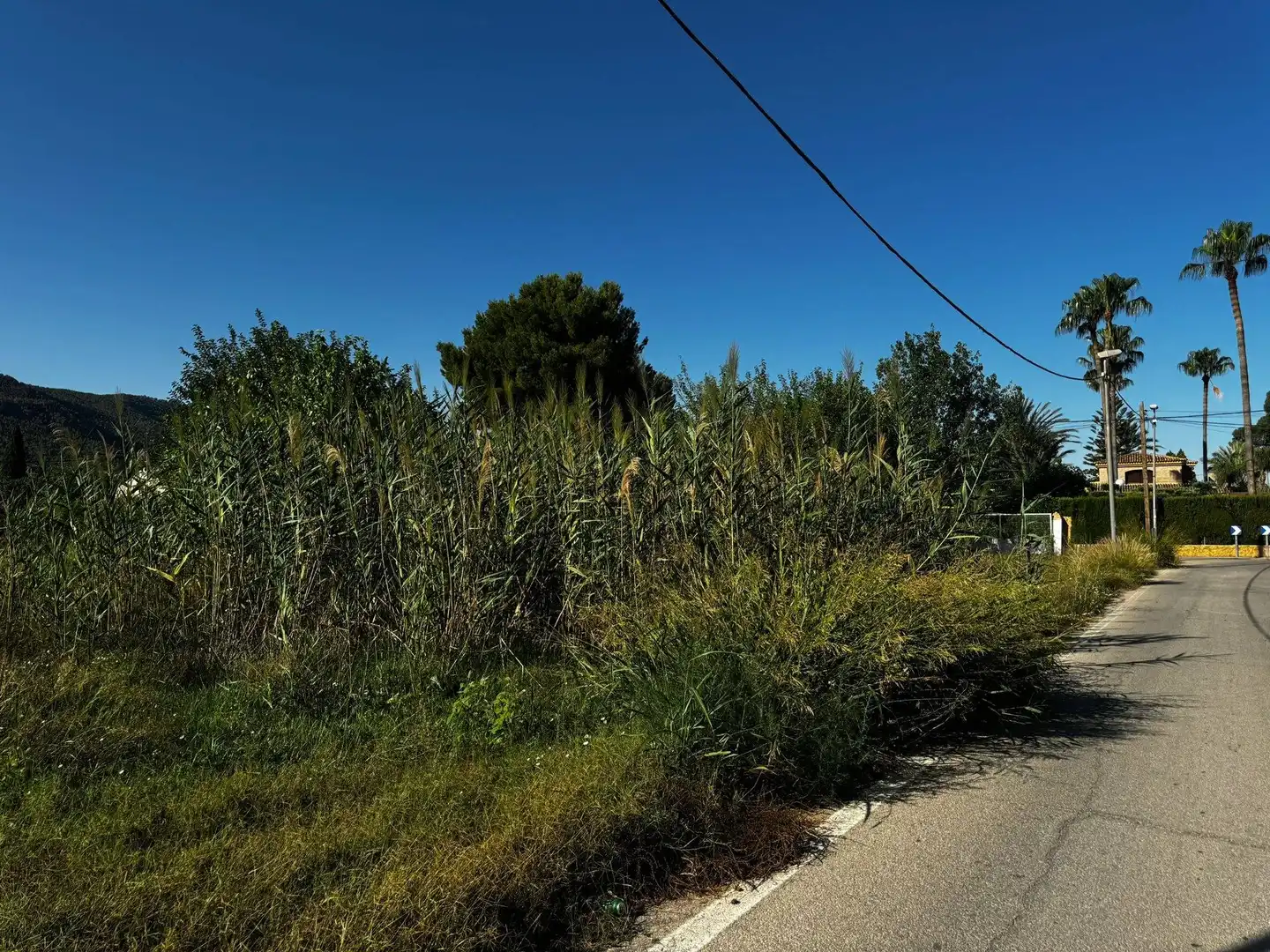 Terrenys i solars en venda a Pedanías Este, imagen 3