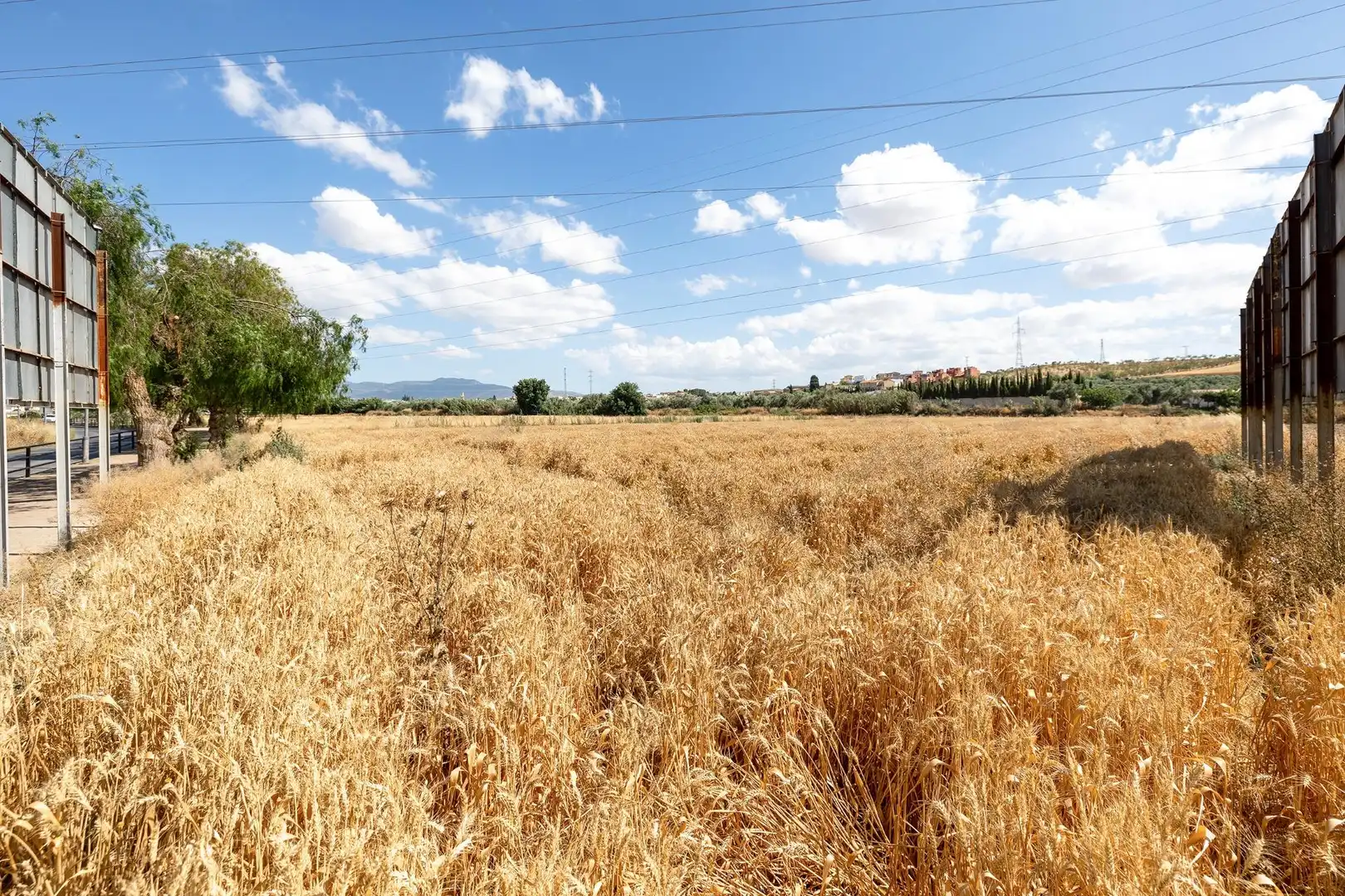Residential land for sale in Híjar, imagen 15