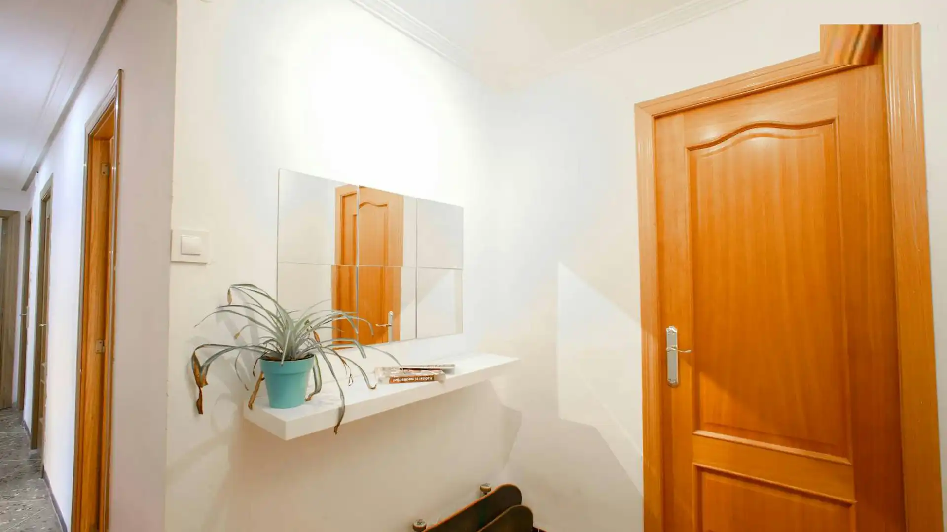 Flat for share in Valencia  with Washing machine and Pets allowed