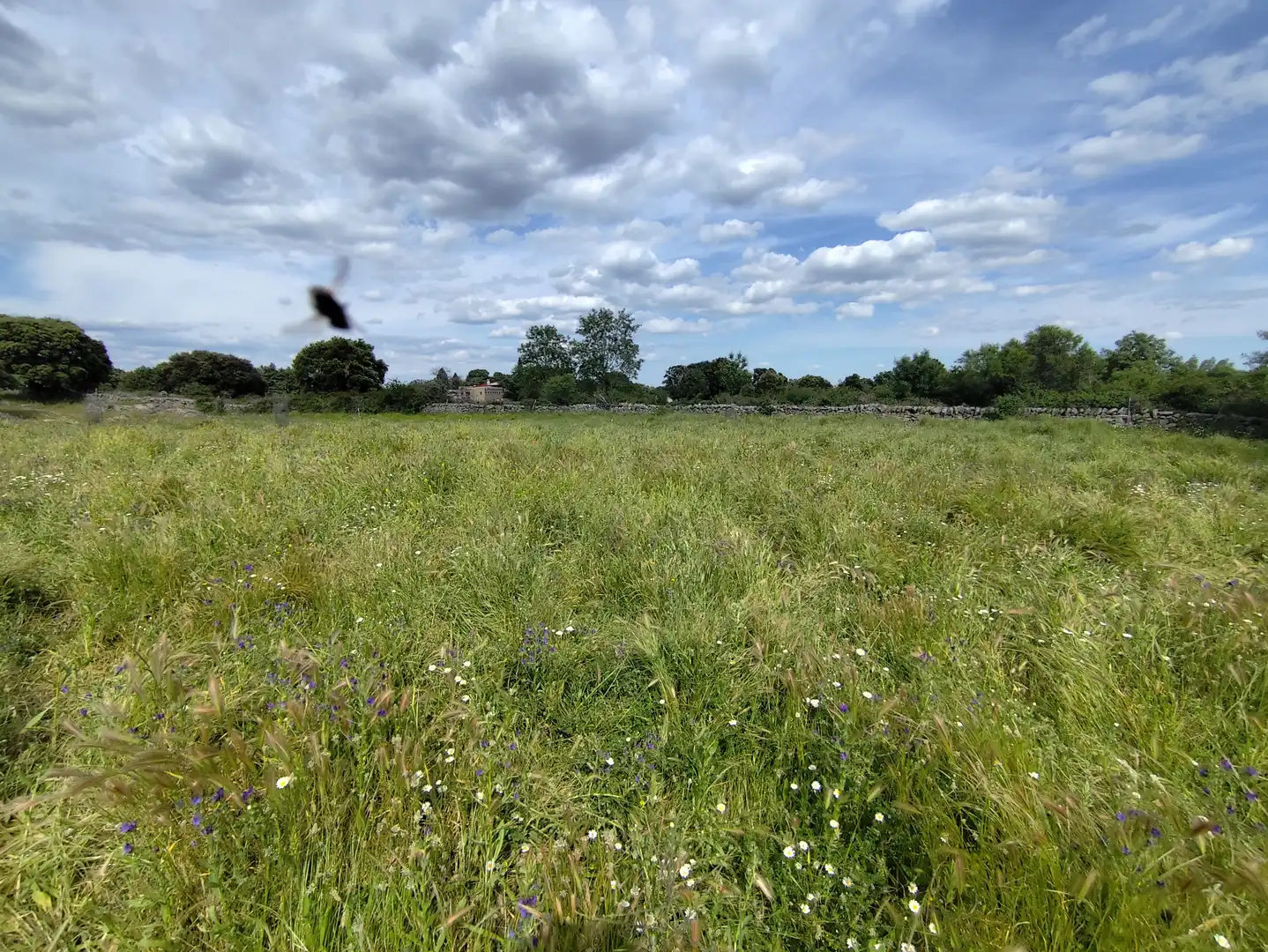 Terreno industrial en venta en Zarzalejo