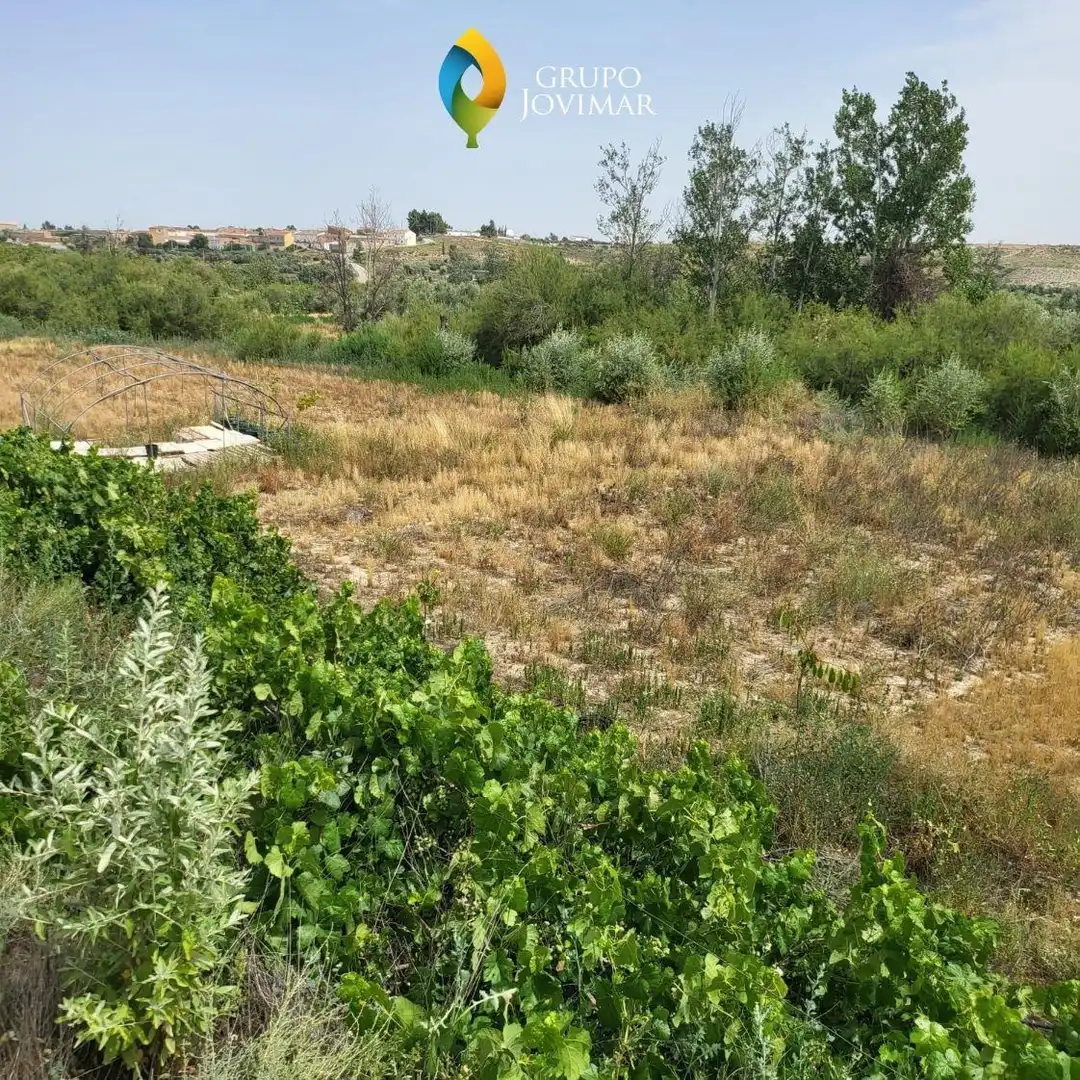 Terreno rustico in vendita a Caniles, imagen 5