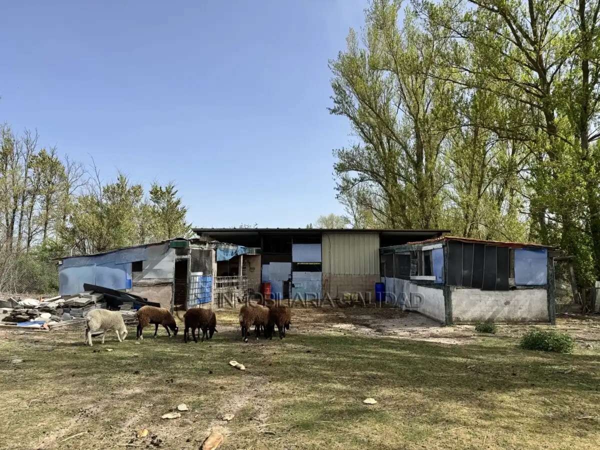 Vista exterior de Casa o chalet en venta en Burgos con Calefacción