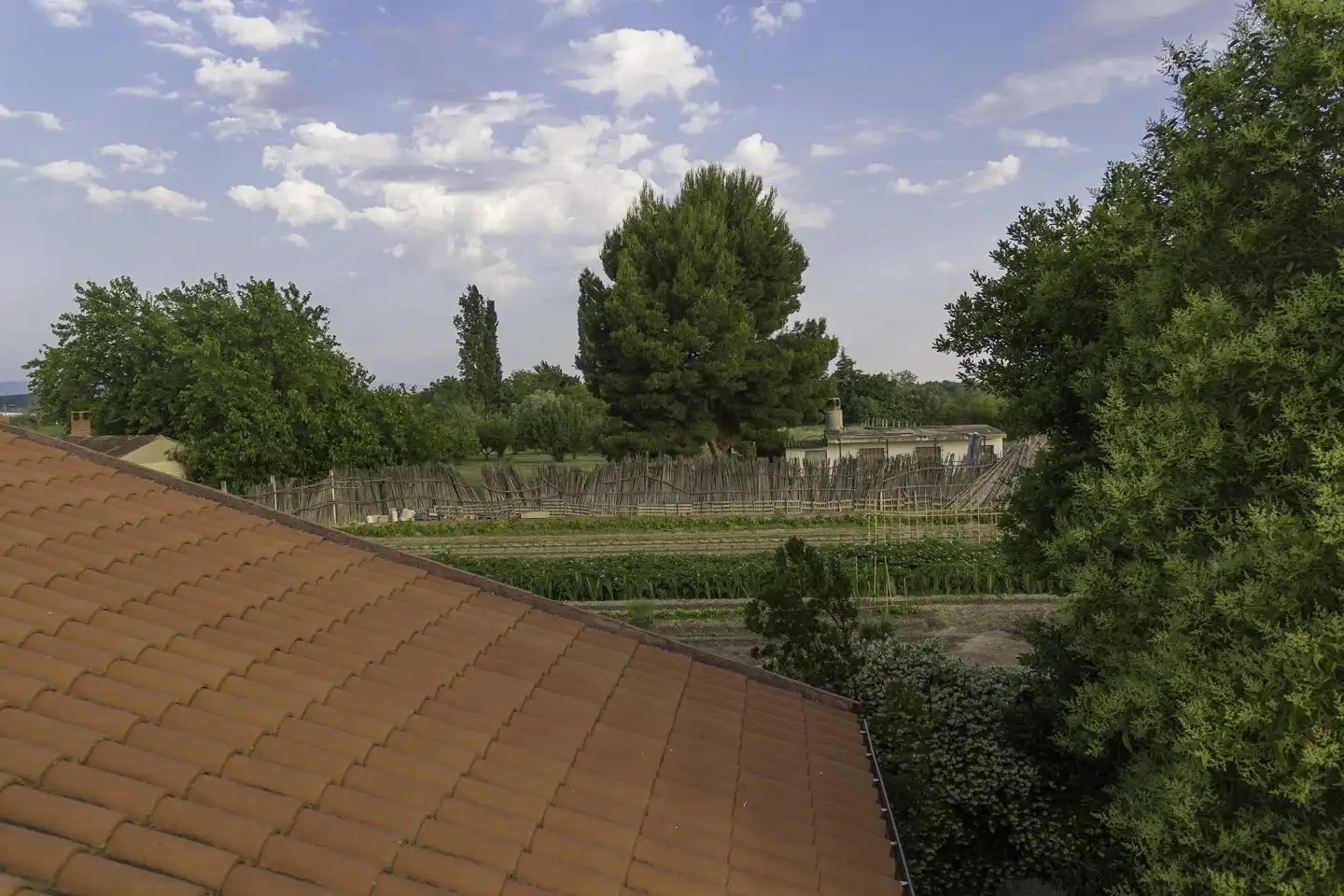 Jardí de Casa o xalet en venda en Alfaro amb Aire condicionat, Calefacció i Jardí privat