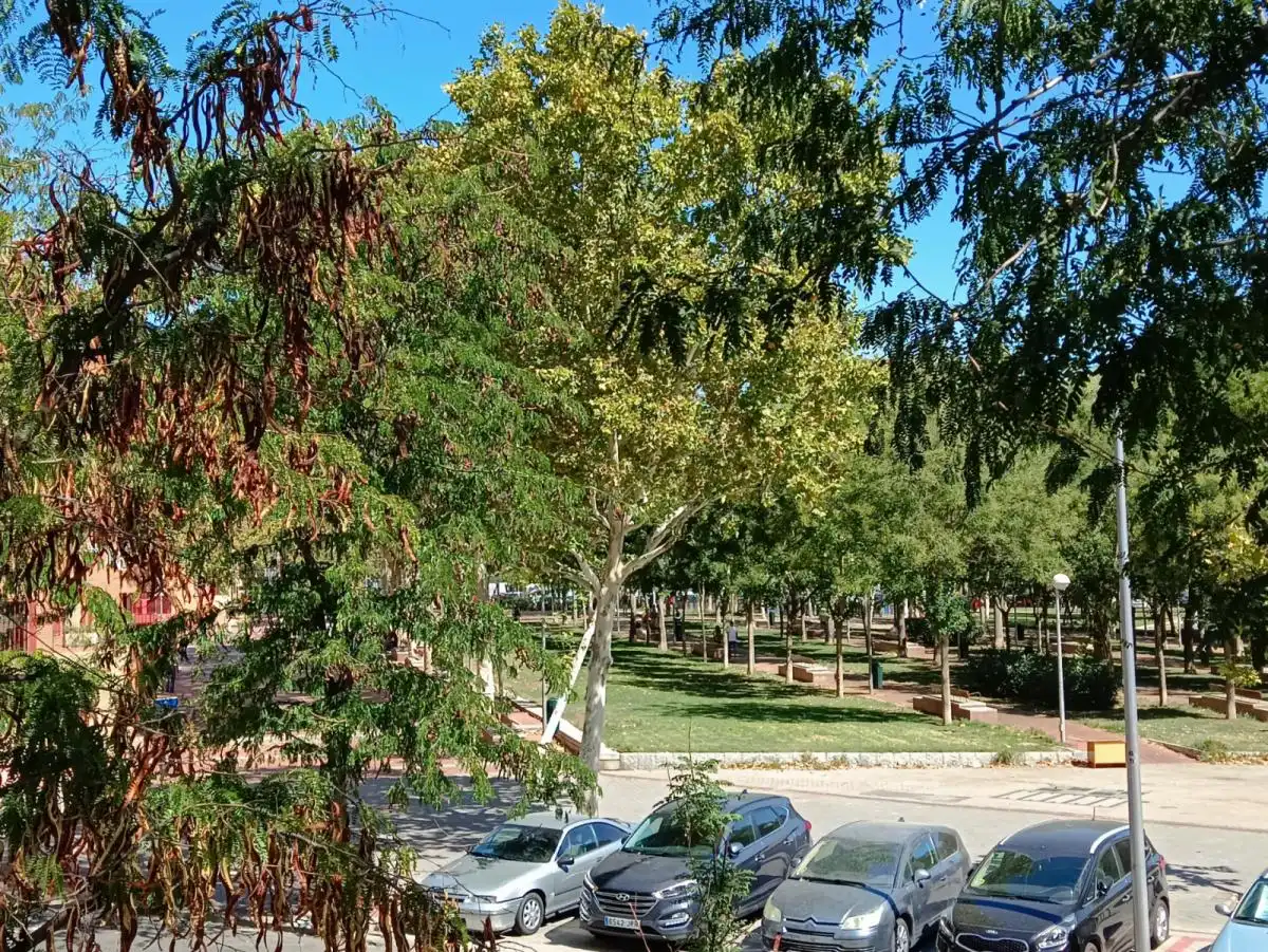 Habitació a Portazgo