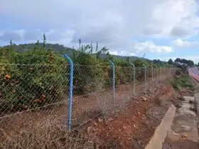 Terrain rustique à vendre à La Loma - Las Lomas, imagen 9
